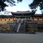 [드루와] 17살 때 혼자 국내 여행 다니면서 찍은 사진들2  (경주...