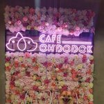 카레와 함께한 여름휴가