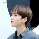 변백현 무슨 모기도 이쁘게물리냐