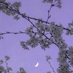 [댓글부탁해] <b>절교</b>했던친구한테 전화해볼까