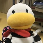 내 <b>칭구</b> 오덕이인형