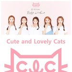 데뷔 6년차에 로고 바뀐 그룹