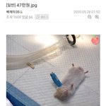 [드루와] 얘들아 너네라면 누구를 선택할래
