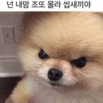 [댓글달아줘] 남친이 <b>백일</b> 안챙겨줌