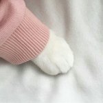 [댓글부탁해] <b>야들</b>아 급해 어떡할까 드루와