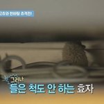 <b>효자</b>야 오늘 셀카좀