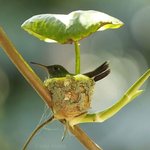 너무 <b>유쾌</b>한 동물의 세계