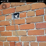 [드루와] 학교 <b>벽화</b> 생기부에 쓰고싶은데 어케 해