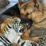 [19] 남자 꼬<b>츄</b> 솔직히 징그럽지 않음??