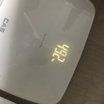 아싸신<b>난당</b>