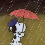 [19] 솔직히 우리나라 연예인은 얼굴이 <b>다지</b> ㅋㅋ