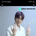 [TXT모아] 0820 위바스/ 포 <b>위버</b>