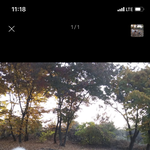 [꼭봐주세요] 주인있는 강아지한테 물렸습니다(상처사진있음)