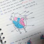 [19] 엥 4등급이여도 인서울 쌉가능 아니냐