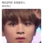 이해찬 푸두커니 너무 찰떡임
