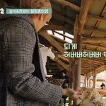 [빅톤] 이거 너무 <b>앨리스</b> 짤