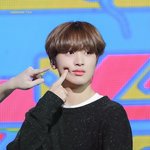 볼콕 <b>코코</b>볼
