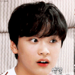 <b>저의</b> 반려푸두