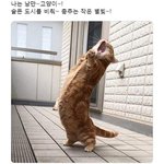 [댓글부탁해] 심심한데 좋아하는 노래 가사 적고 가
