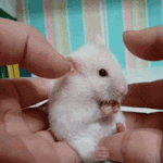 [방탄소년단] 처음 하는 오후1시 컴백이라 그런가