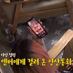 에프엑스 엠버 최신 근황.<b>jpeg</b>