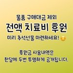 [강아지] 추석 선물 미리 준비하세요