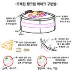 [댓글부탁해] 다이소 <b>붙임</b>머리 써본판녀들