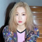 미스피츠 <b>갭</b>차이 ㄱㅇㅇㅋㅋㅋㅋ