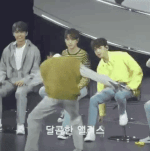 <b>셉틴</b> 디에잇 이거 뭐임..??