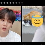 ㅋㅋ 애옹이와 <b>광산</b>애옹들