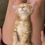 [19] 나 속눈썹 <b>보정</b>잘하는데