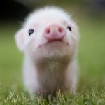 [19] <b>톡선</b> 가는 꿀팁 알려줌