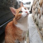 [드루와] ㅅㅂ 내 본진 팬싸때