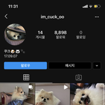 이거 누구네 강아지임