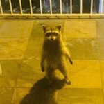 아 개쪽팔려 ㅋㅋㅋ 어캄ㅋㅋㅋㅋ