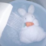 [댓글부탁해] 제가 잘못한 일인가요?