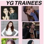 [드루와] 와이지 <b>차기</b> 여자 연습생 ㄷㄷ