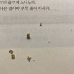 [19] 나 옛날에 <b>귓밥</b>땜에 이어폰고장난줄 알았던적있음