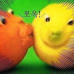 나 중딩인데 <b>대입</b> 관련? 이 말이 이해가 잘 안돼ㅠ