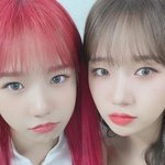 [드루와] 도플갱어 <b>수준</b>으로 닮은 아이돌 갑