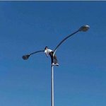 [19] 미친 너네 이거 봤어?