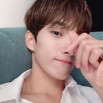 [세븐틴] 캐로시들.. 부탁이 잇송..