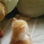 [19] 우리집앞에 췡ㄴ집 있음..ㅠㅠ