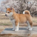 [19] 남자들이 좋아하는 여자스타일이래