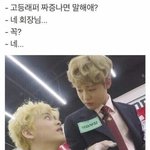 아 ㅅㅂ 이짤 개웃겨