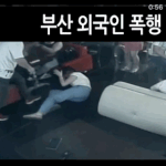 한녀들은 집에서 놀고먹는다던 판남이 <b>예시</b>로 든거