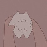 [댓글부탁해] 고양이 키우고 싶어...