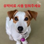 유박비료 <b>사용</b> 제발 멈춰주세요