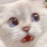 얘들아 나 아이폰 <b>엑스</b>알