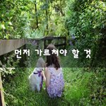 [가정교육] 먼저 가르쳐야 할 것~